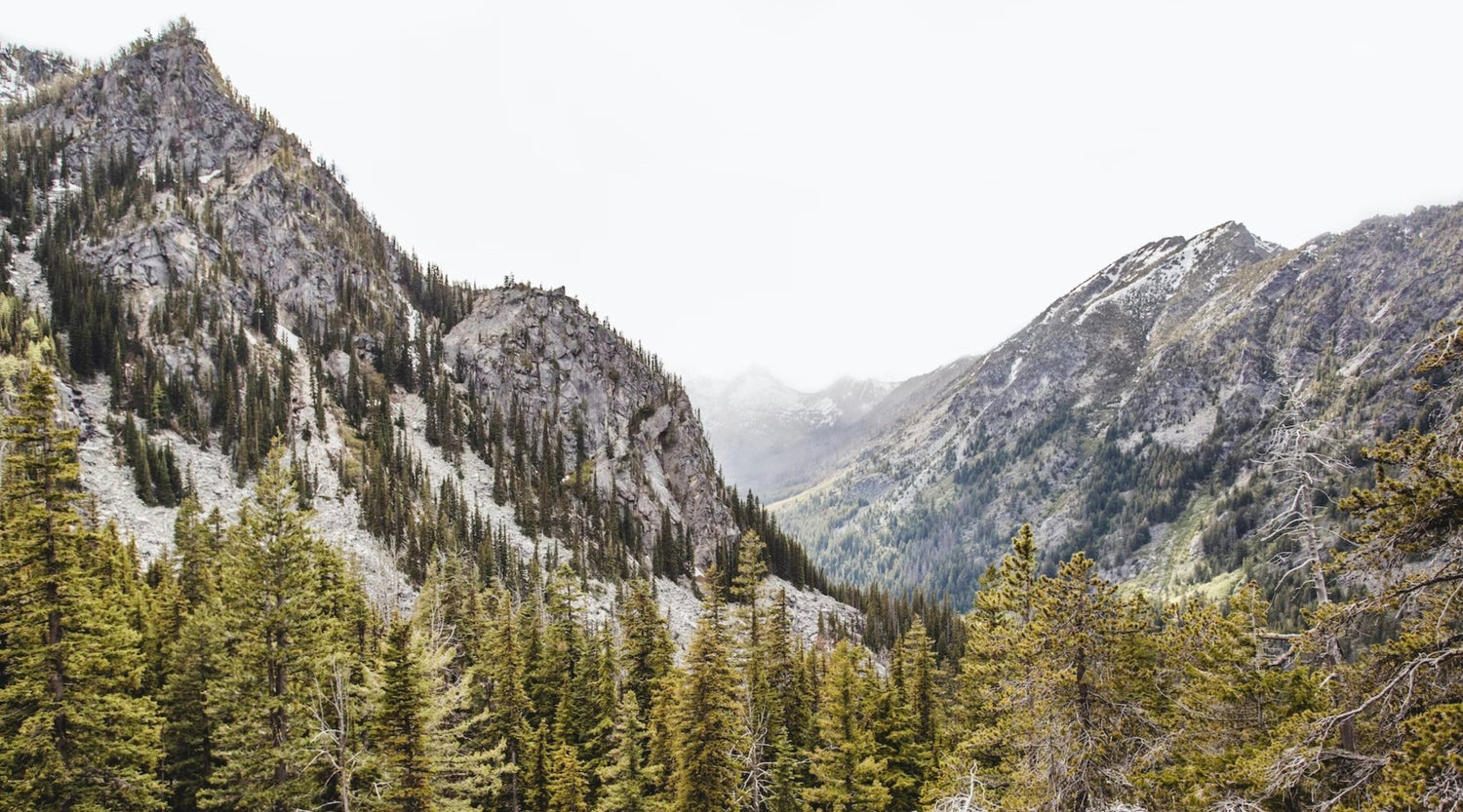 Celebrate National Park Week - Alpine Start